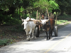 Insel Ometepe - Nicaragua